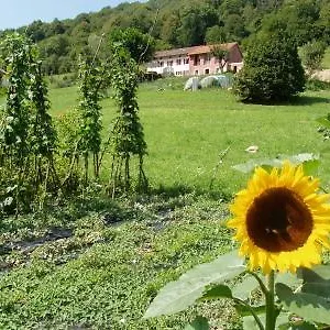 Bed & Breakfast I Boschi Del Castagno